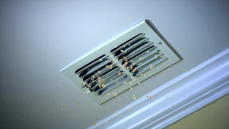 Spring Arbor, MI Airduct Cleaning Company