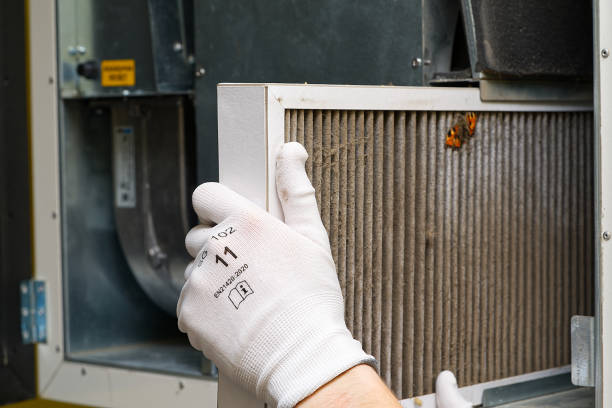 Best Duct Cleaning for Homes  in Spring Arbor, MI