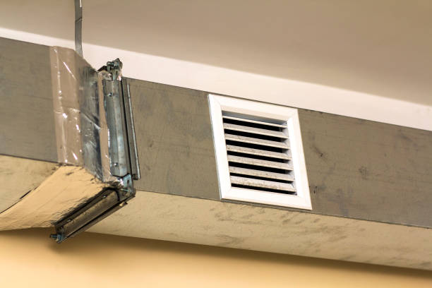 Air Duct Mold Removal in Spring Arbor, MI
